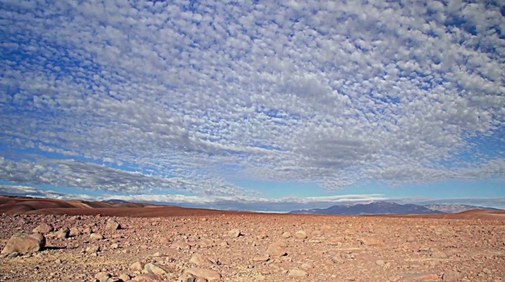 Vida humana en el desierto