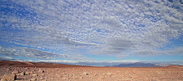 Vida humana en el desierto